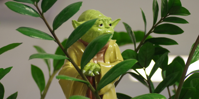 Small statue of Yoda, hiding in the leaves of a plant.