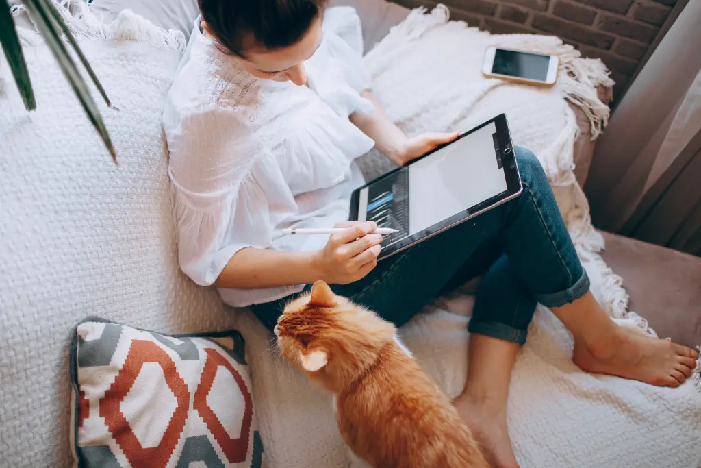 Woman working from home, on the couch with her orange tabby cat.