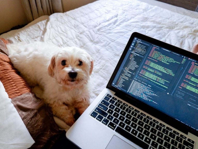 Hired dedicated Node.js developers | Person sitting on a bed with their computer on their lap, with code on the computer. To the left is a small white dog, looking up at the camera.