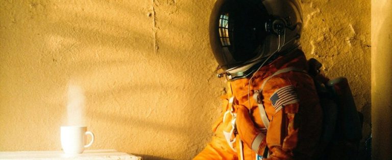 Hiring a software developer